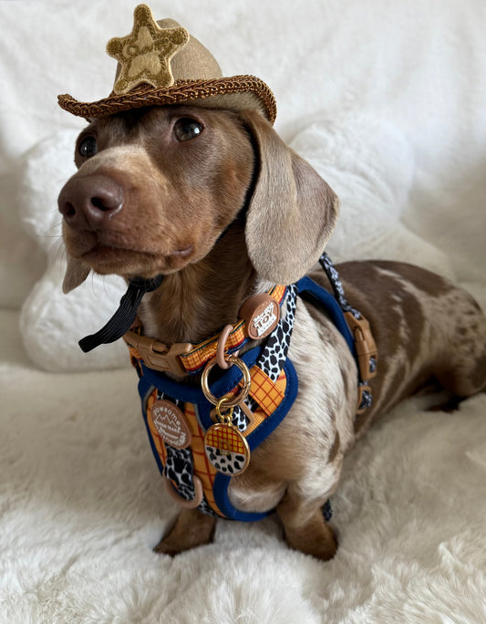 How to Run an Instagram Page for Your Dog (And Totally Lose Control of Your Life)