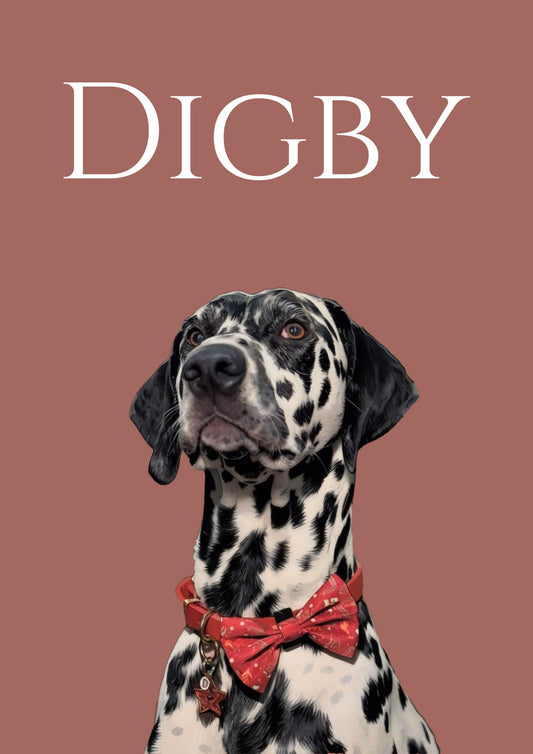 Digital Pet Portrait (Plain Background)
